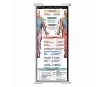 WhiteCoat Clipboard® Trifold - White Occupational Therapy Edition